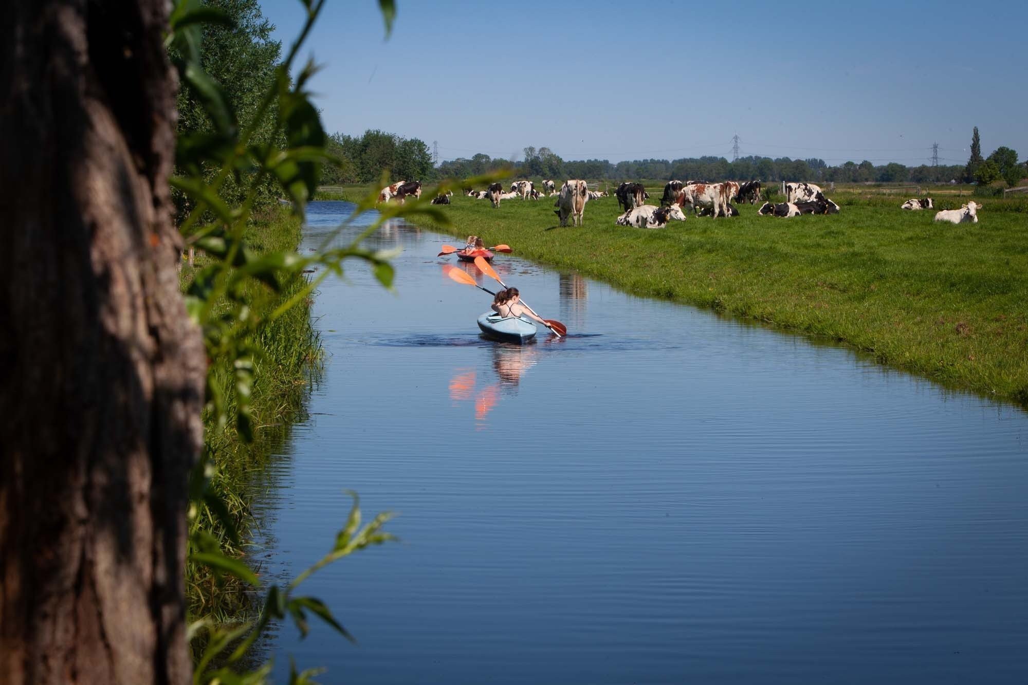 Kano&euml;n bij boerencamping in Zuid-Holland