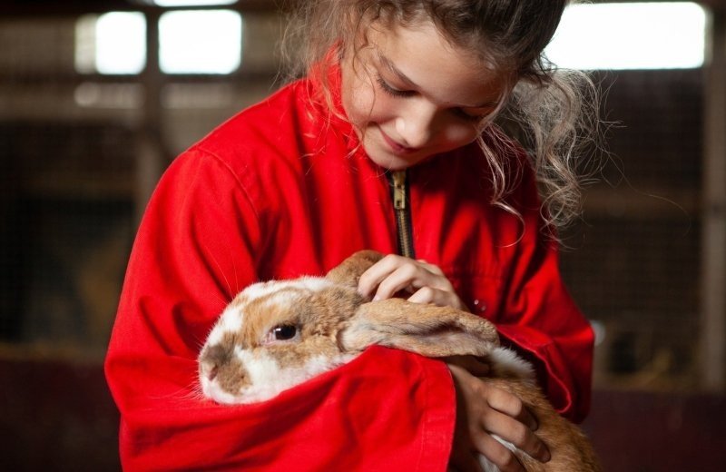 Boerderijvakantie zuid holland