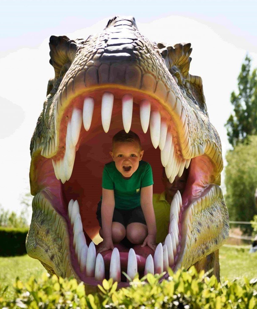 Uitje vanuit kleine camping Zuid-Holland