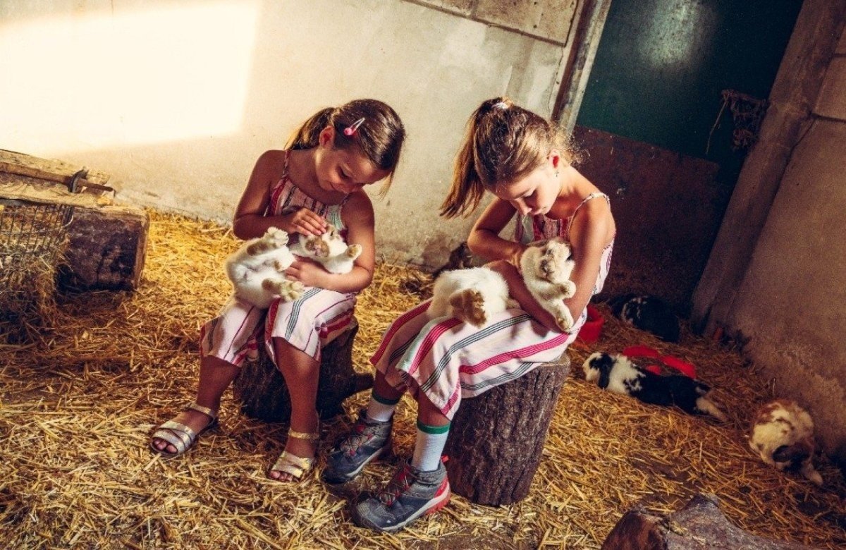 Kinderen knuffelen met konijntjes op de boerderij
