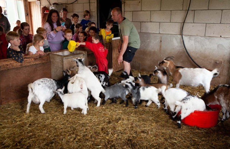 Kinderfeestje gouda bij de geitjes