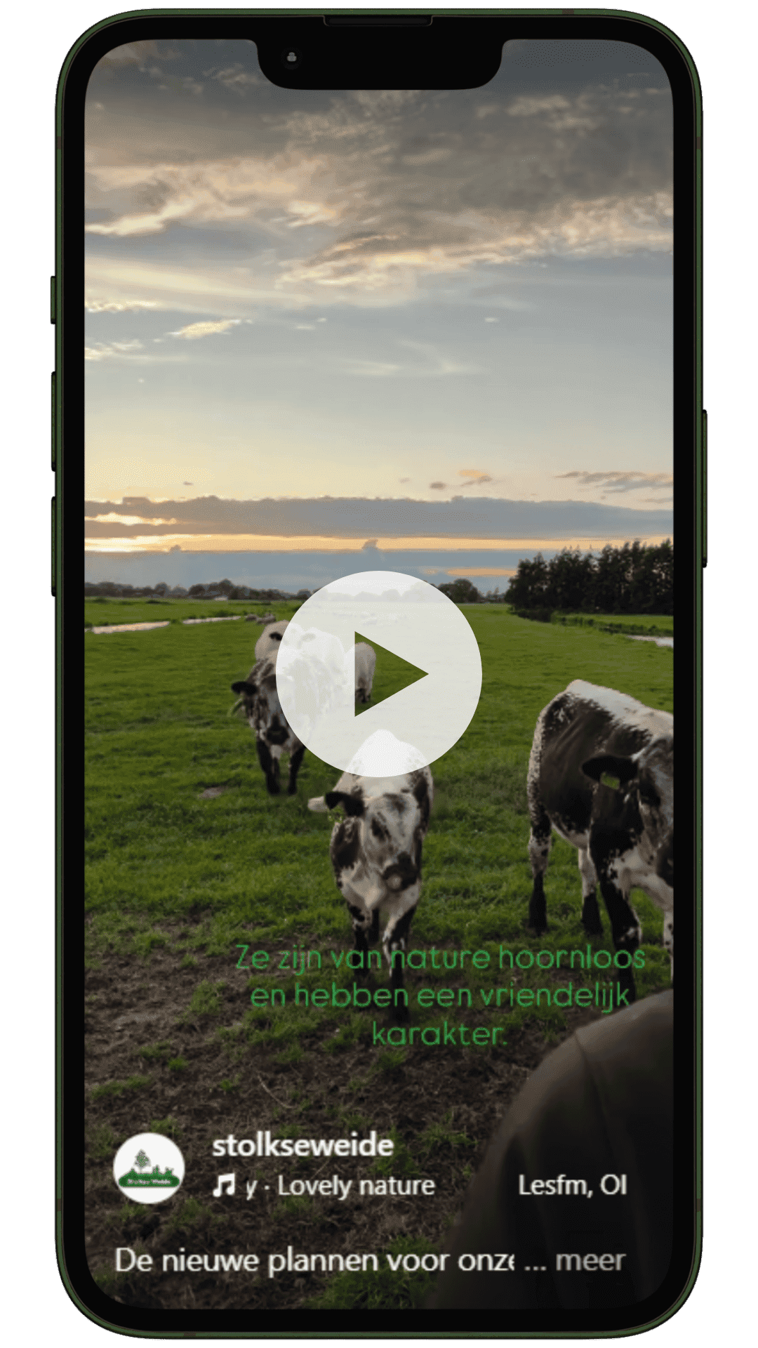 Video Stolkse Weide veranderingen