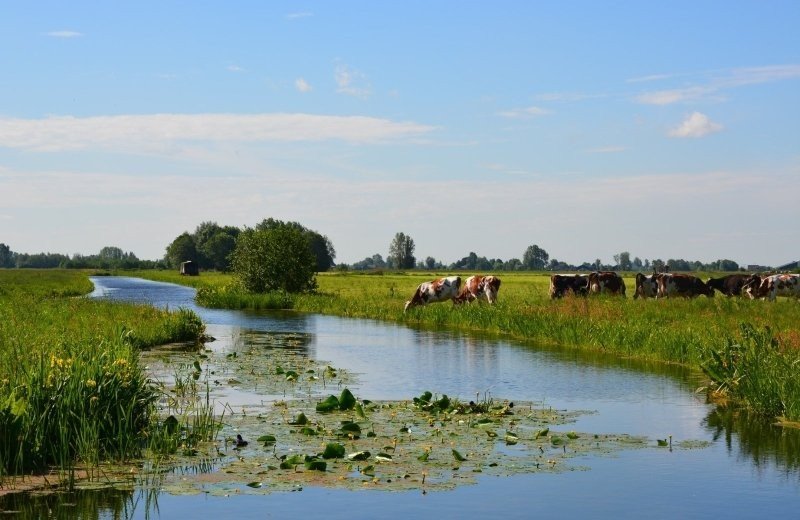 Vakantie op boerderij